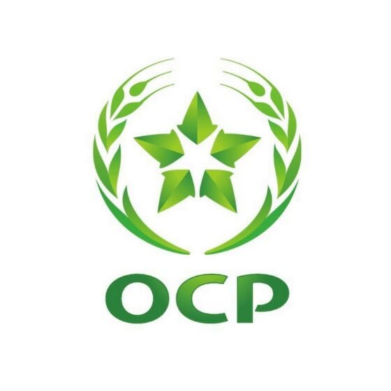 WhatsApp Image 2026-02-04 at 14.52.31